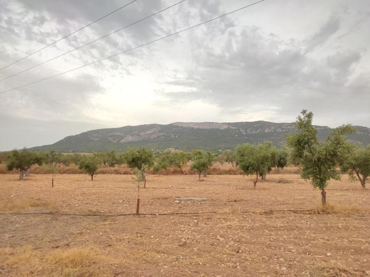 Casita de campo en venta en Biar - Image 8