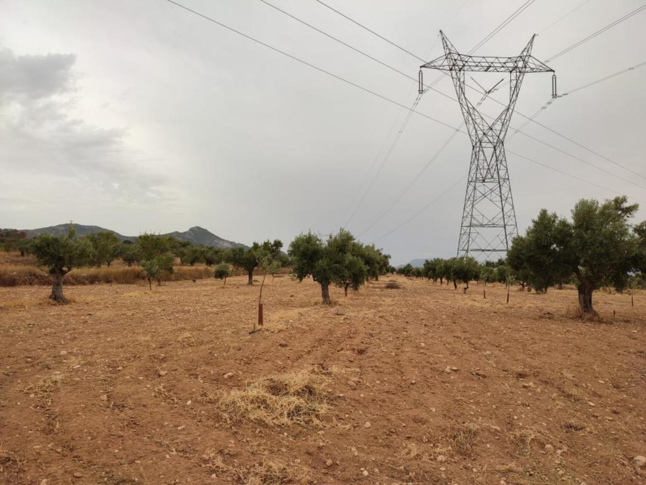 Casita de campo en venta en Biar - Image 2