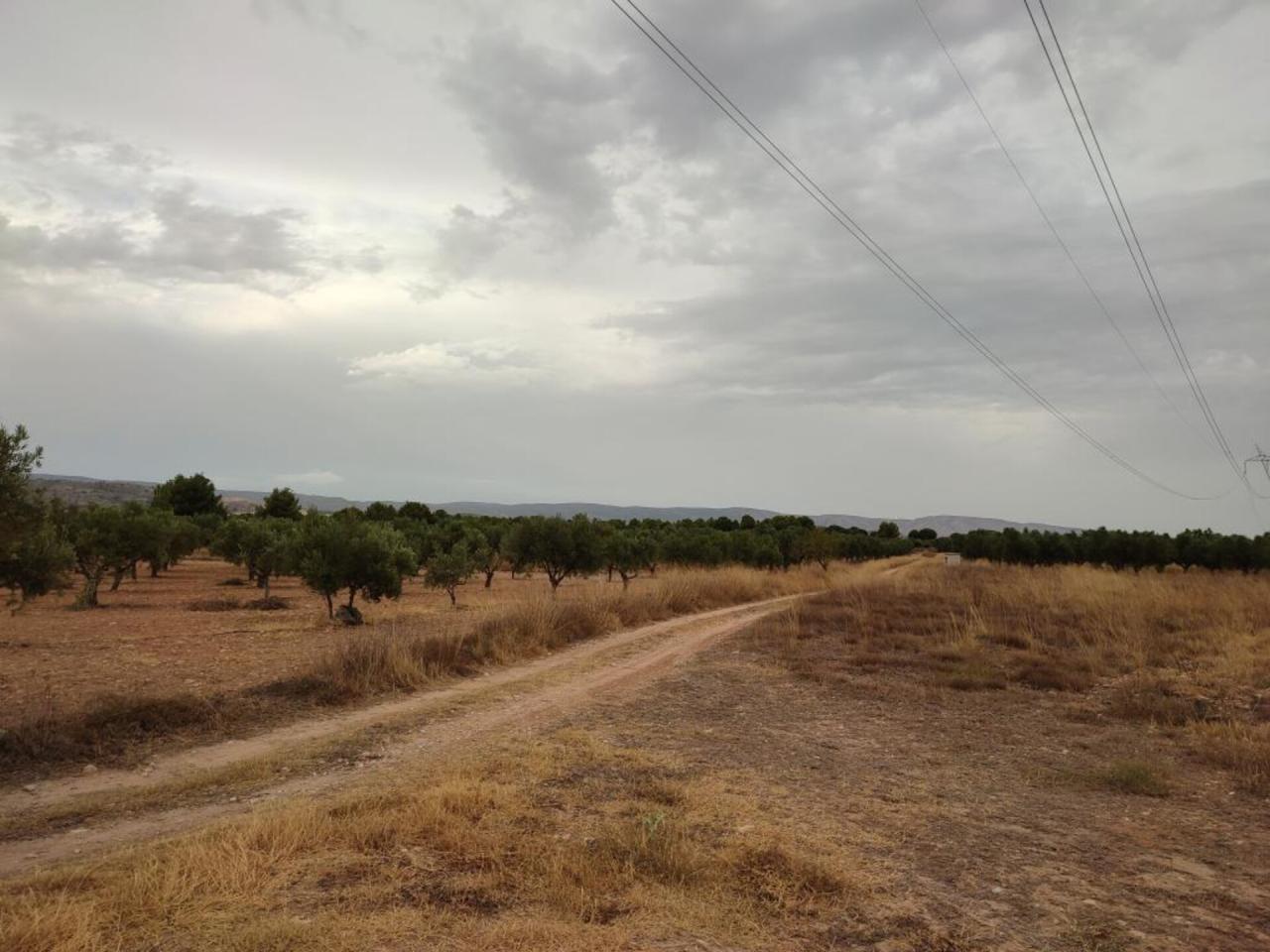 Casita de campo en venta en Biar - Image 3