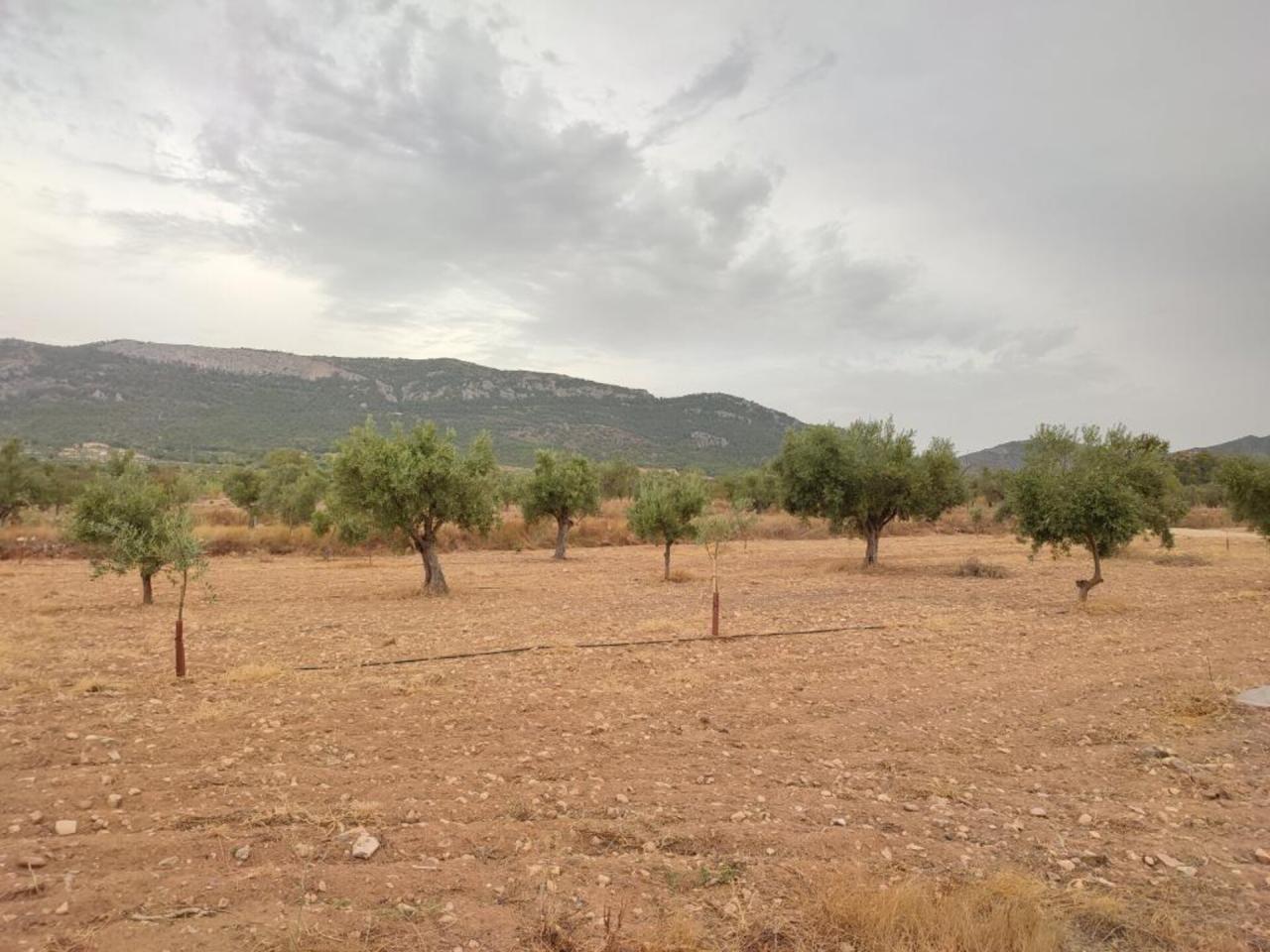 Casita de campo en venta en Biar - Image 7