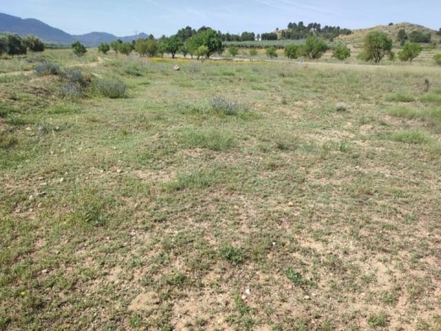 TERRENO ZONA BIAR CAÑADA - Image 2