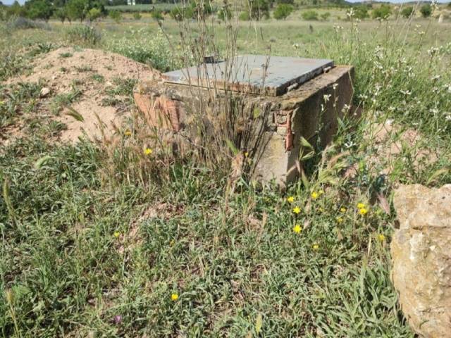 TERRENO ZONA BIAR CAÑADA - Image 3