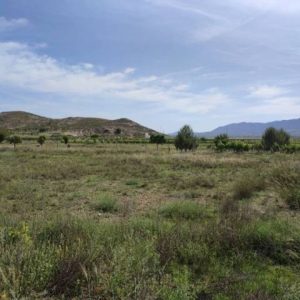 TERRENO ZONA BIAR CAÑADA