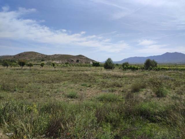 TERRENO ZONA BIAR CAÑADA - Image 4