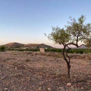 VENTA DE TERRENO DE 2000M2 CON AGUA EN CAÑADA