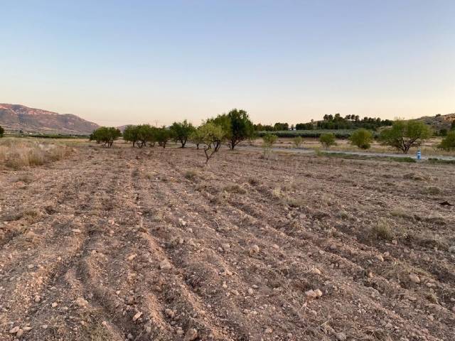 TERRENO ZONA BIAR CAÑADA - Image 6