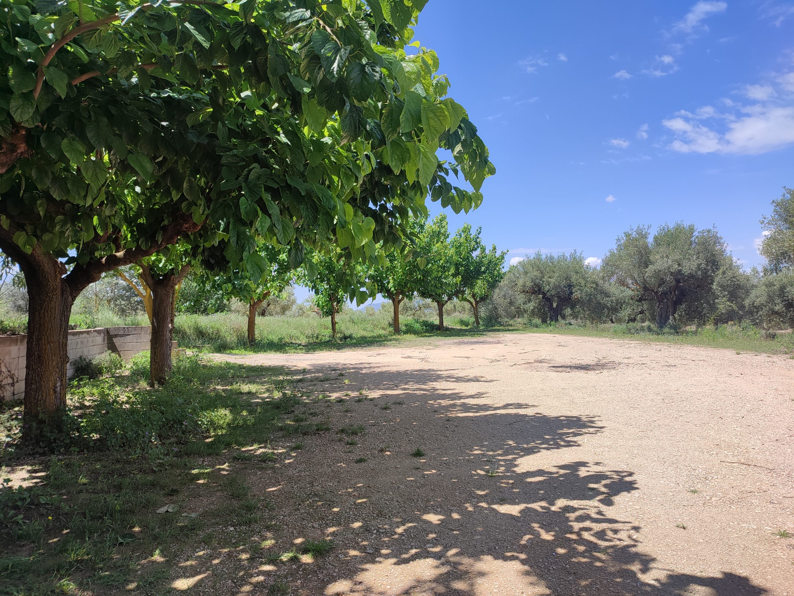 Casa adosada de dos plantas en el campo zona Biar - Image 21