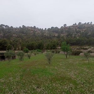 Terreno en venta en Caprala