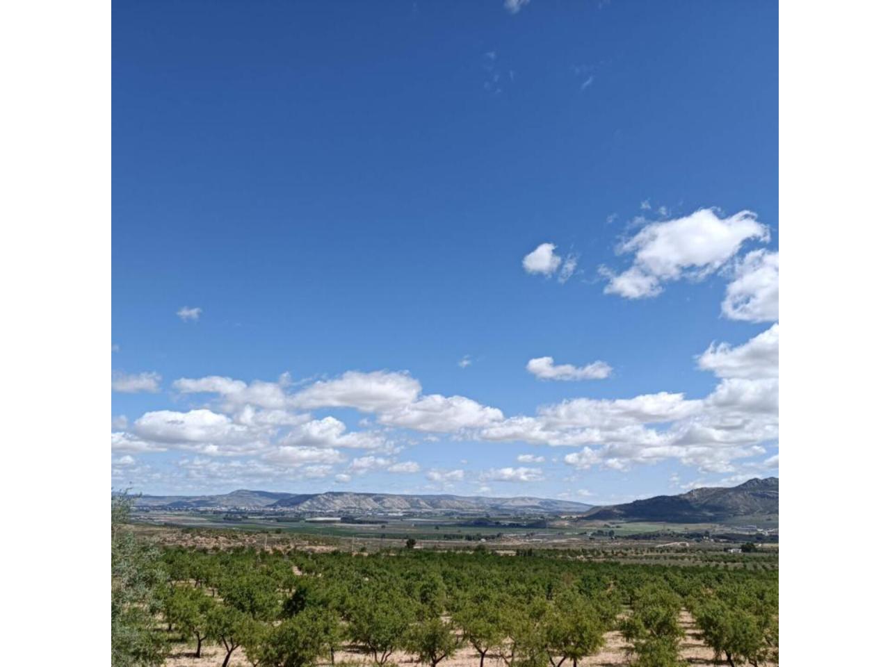 Chalet en venta en Villena - Image 2