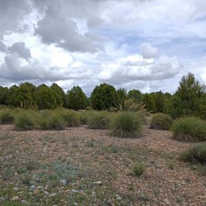 Terreno en venta en Campo de Mirra - El Camp de Mirra