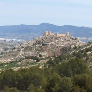 Terreno en venta en Castalla