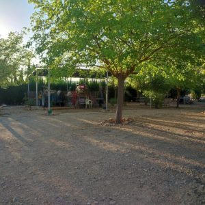 Terreno en venta en Biar