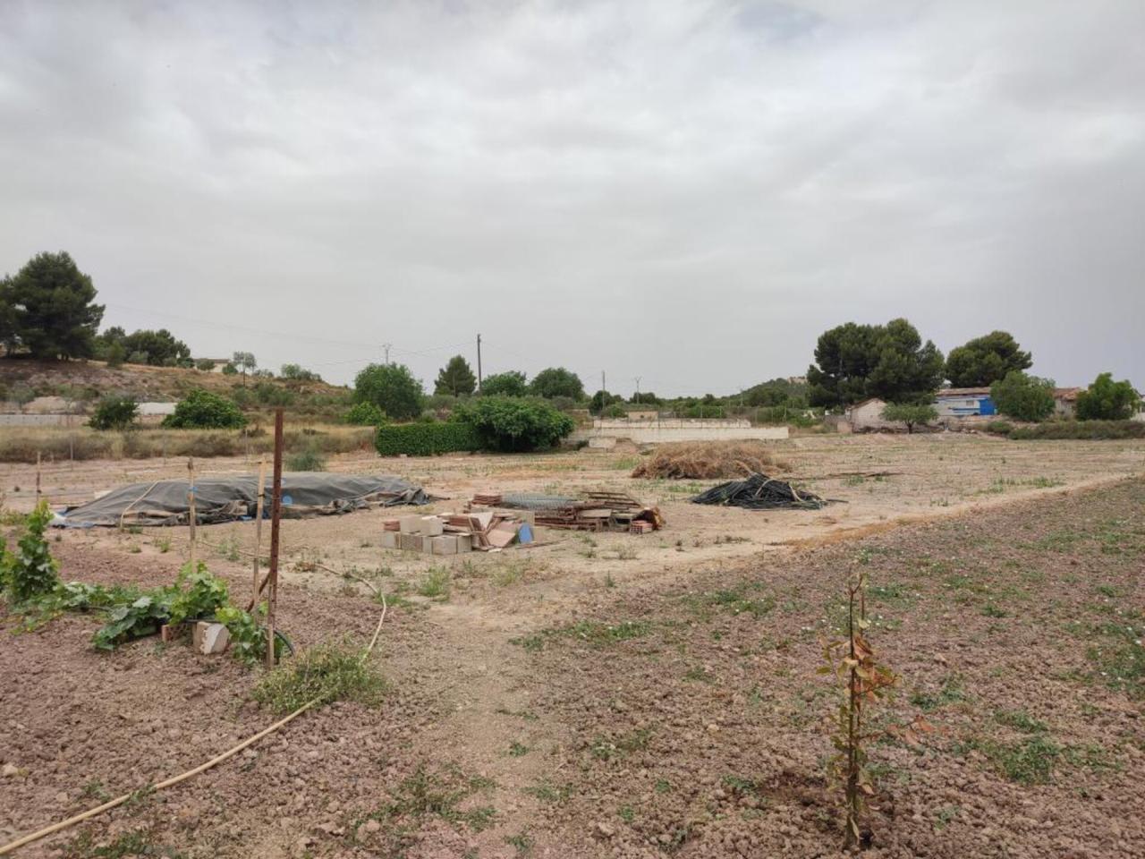 Terreno en venta en Sax - Image 7