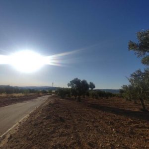 Terreno en venta en Biar